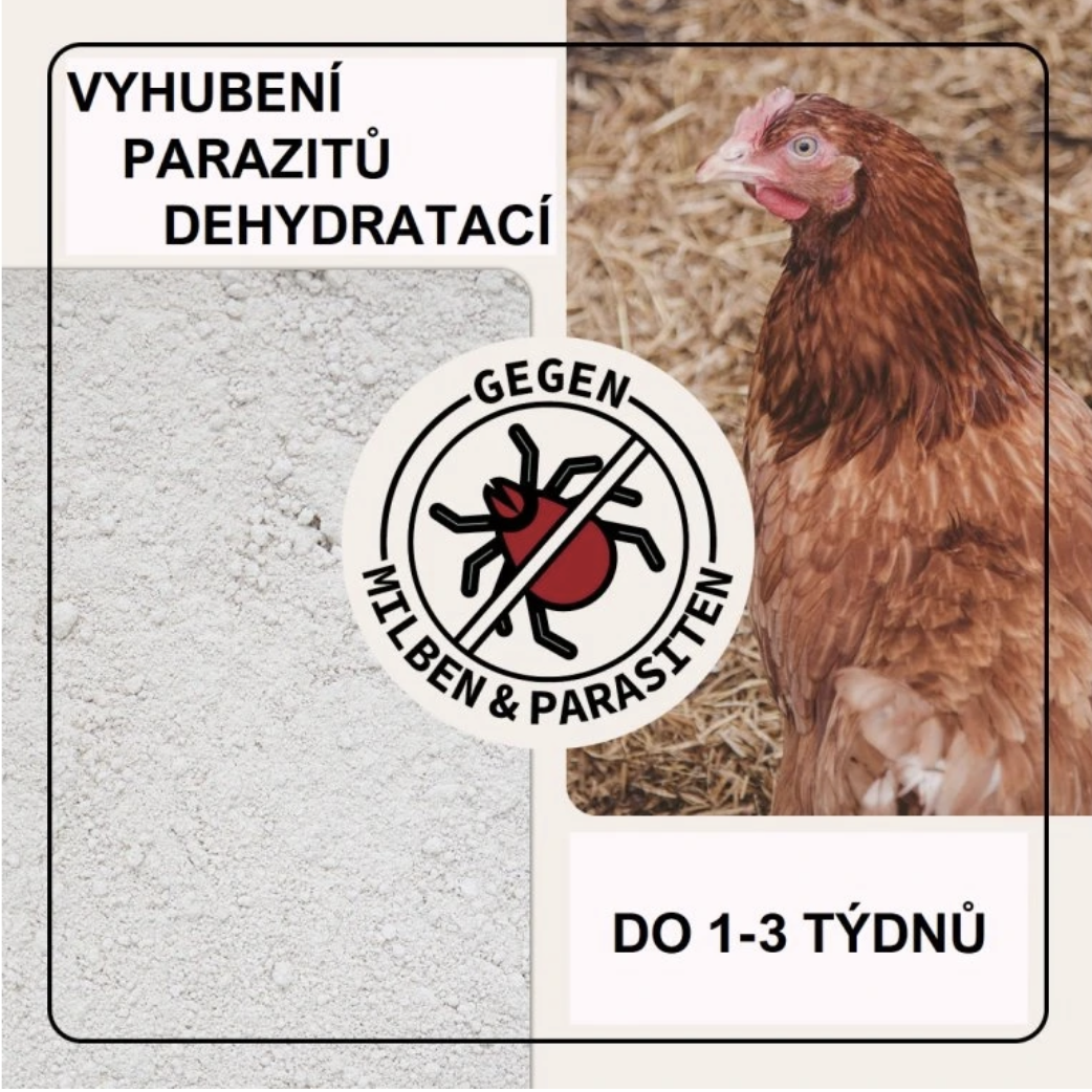 Screenshot 2026-02-04 at 16.48.59